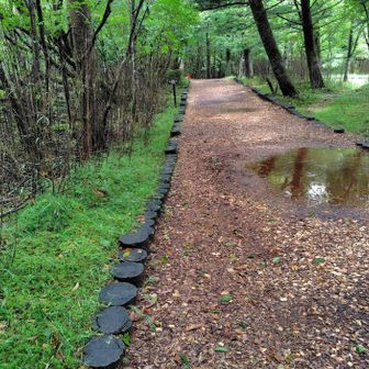 水ヶ塚のクロスカントリーコースを歩く
木のチップが撒いてあるので、ふかふか

雨なので、トレラン中の学生をよけようと丸太🪵の上に乗ったら、危うく滑りそうになった。
邪魔そうなので、時間をずらして…