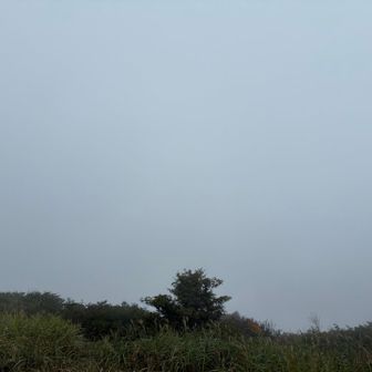 真っ白🫣なーんも見えんのです😶‍🌫️