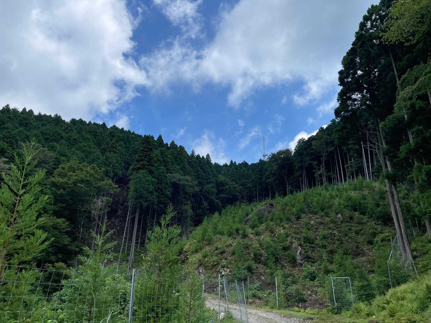 くらがり渓谷-本宮山 往復コースの写真