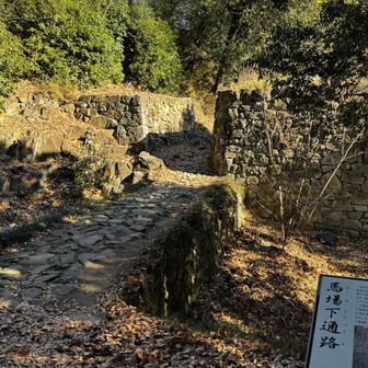 城跡感出てきました。