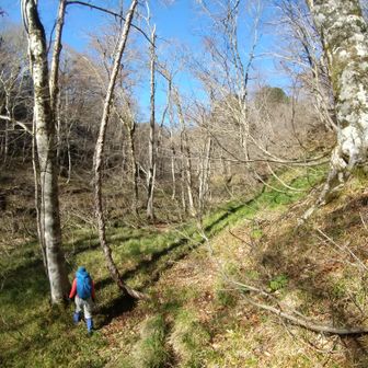 左門岳 いかにも主といった感じで、一段上から谷を見下ろして立っていました。