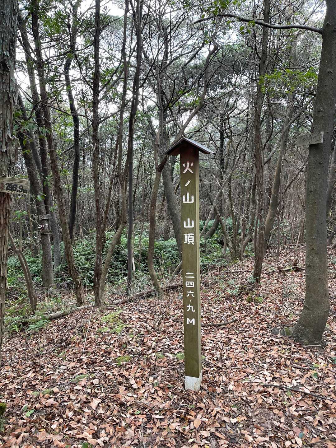 山頂きました！