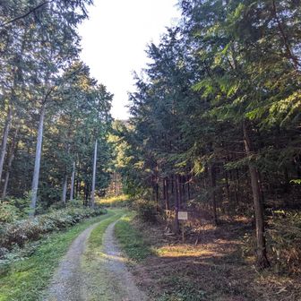 「富士見台高原・南沢山」のあと移動も時間がかかって、こんな時間になっちゃった。ヘッドライトもってることを確認して行ってみます