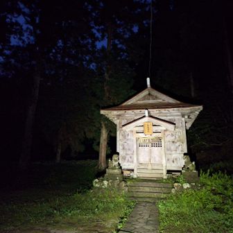 月が出たり隠れたりしてるから少しだけ明るめな鳥坂神社