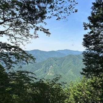 棒の嶺と奥は川苔山
2024年に縦走したのを思い出しあたたかい気持ちで山を眺めました☺️
登った山見えると嬉しい！