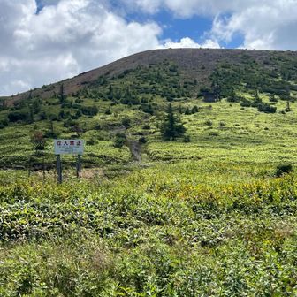 もちろん、白根山には登れません。
でも、中で作業している方がいらっしゃいました。