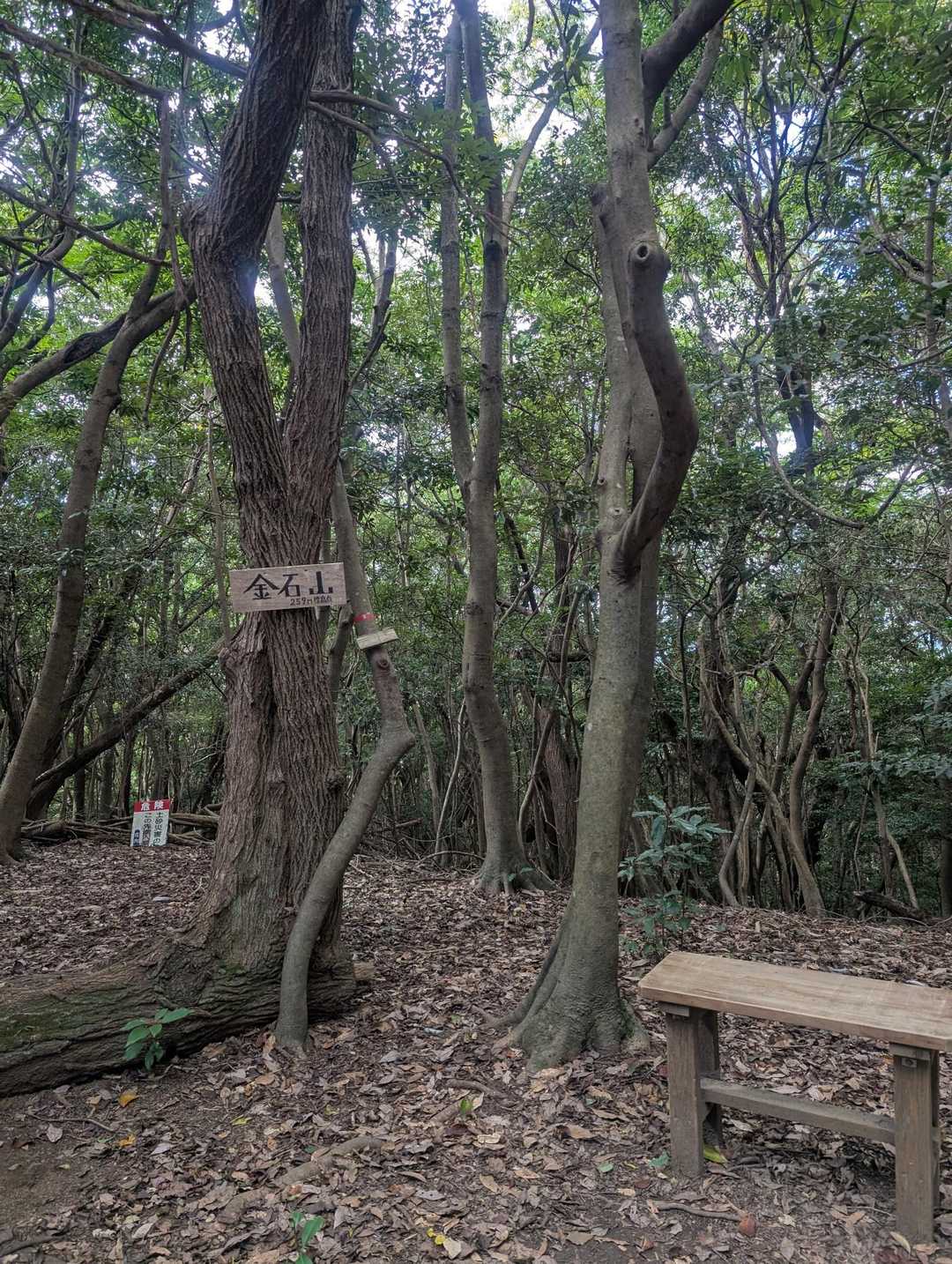 金石山山頂の景色
