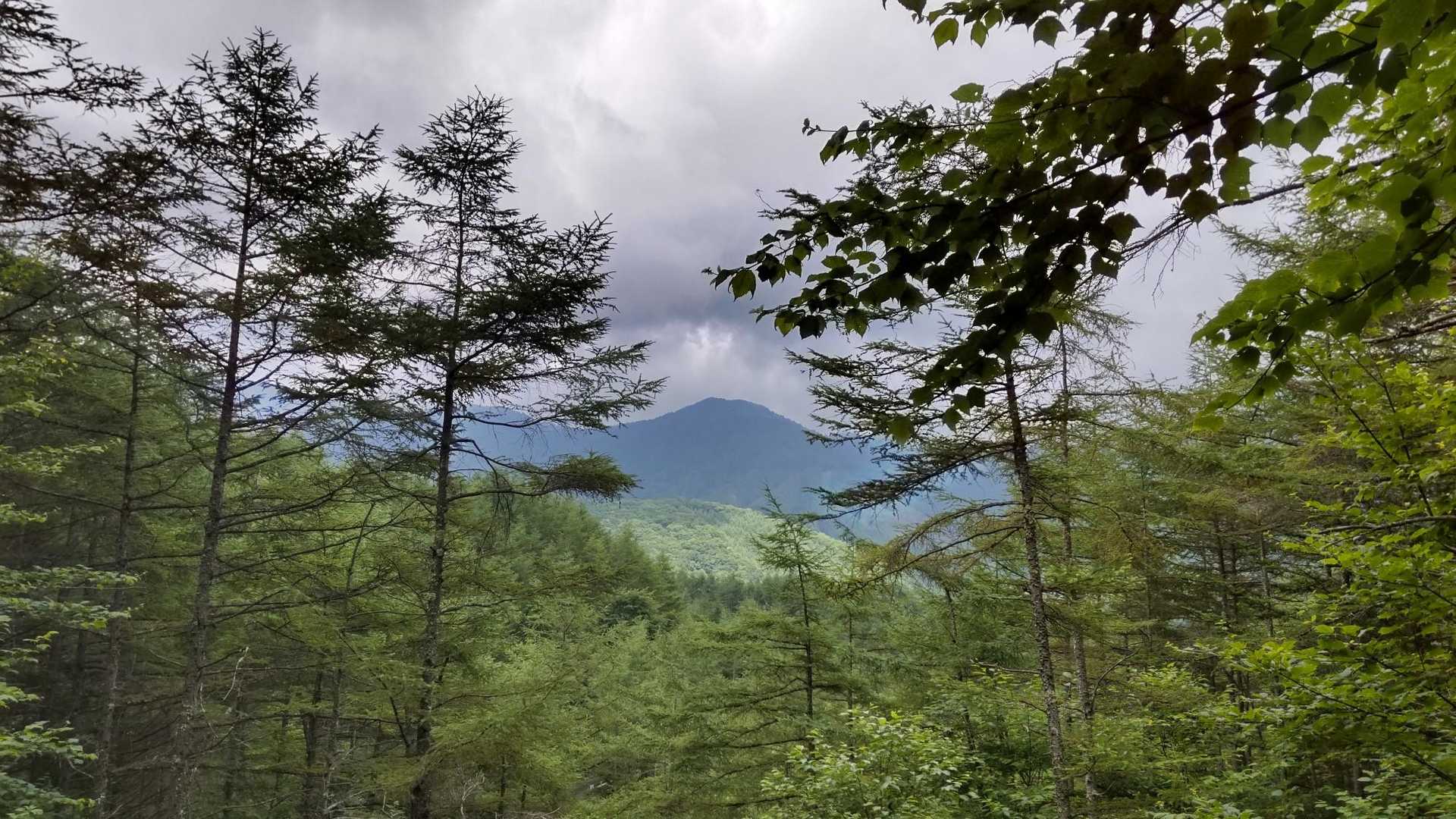 たぶん熊沢山
