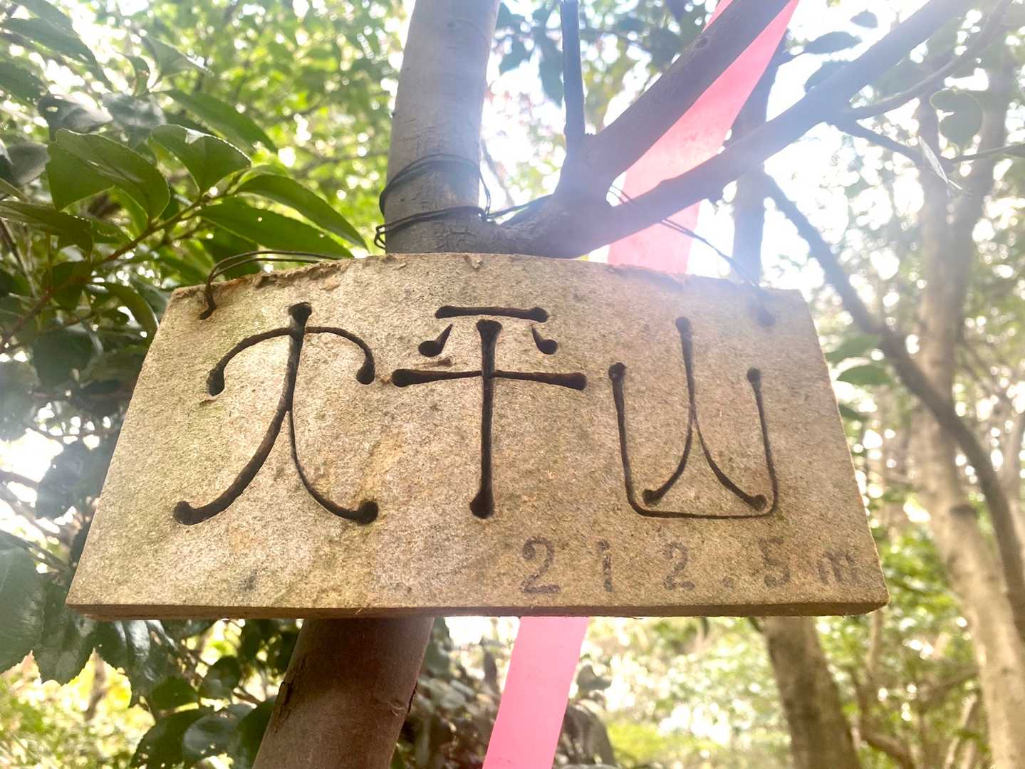 大平山到着