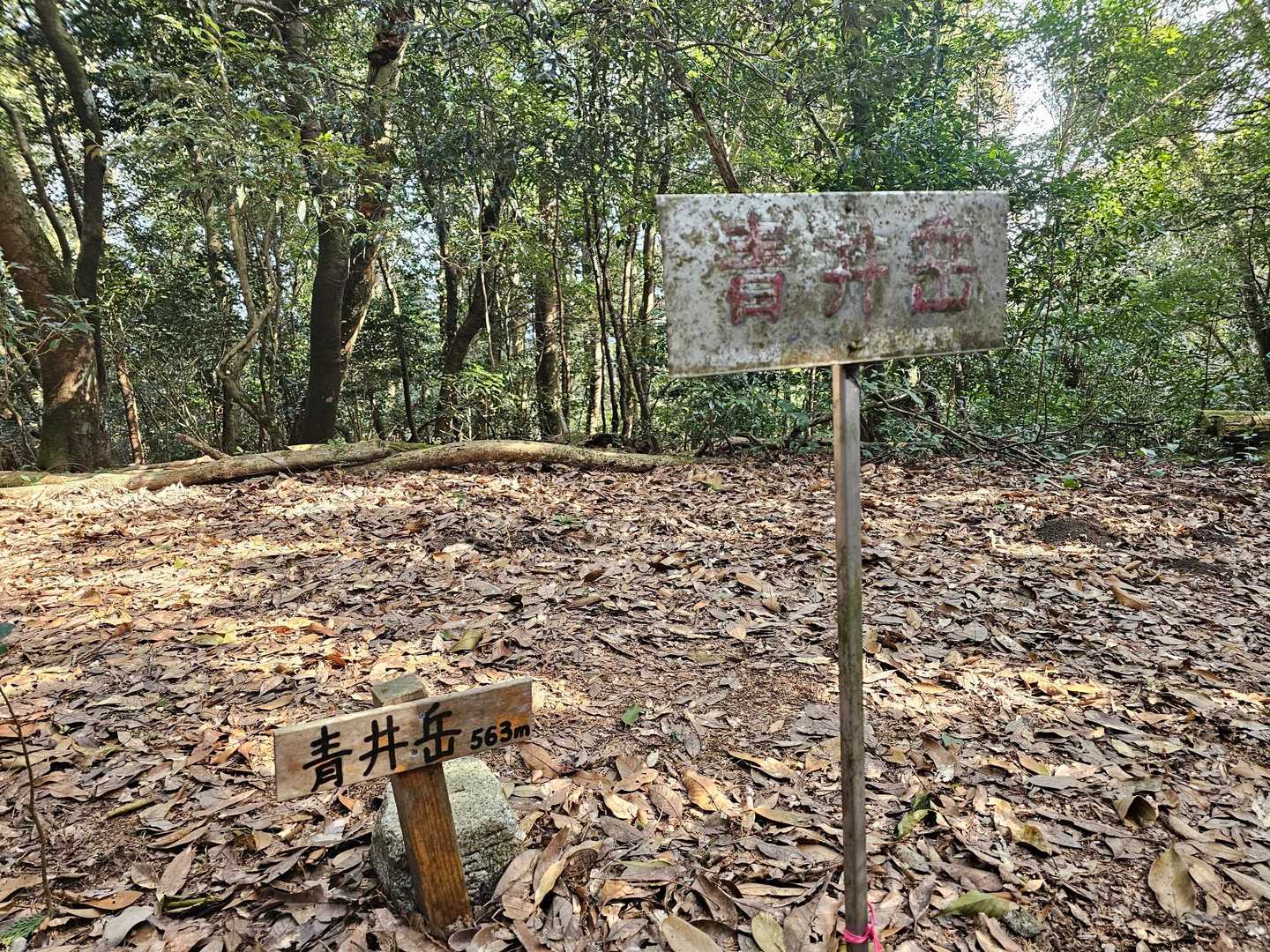 青井岳登山道入口-青井岳 往復コースの写真