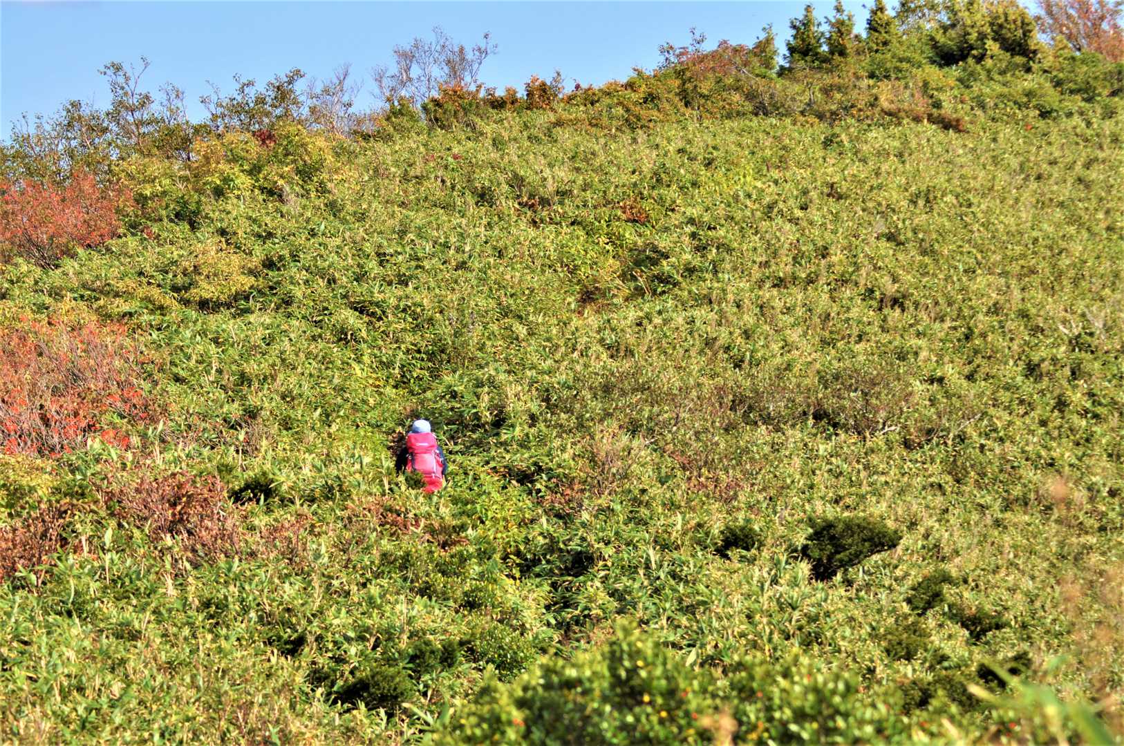 中根平登山口-第一休憩地-宮屋敷跡-人形山 往復コースの写真