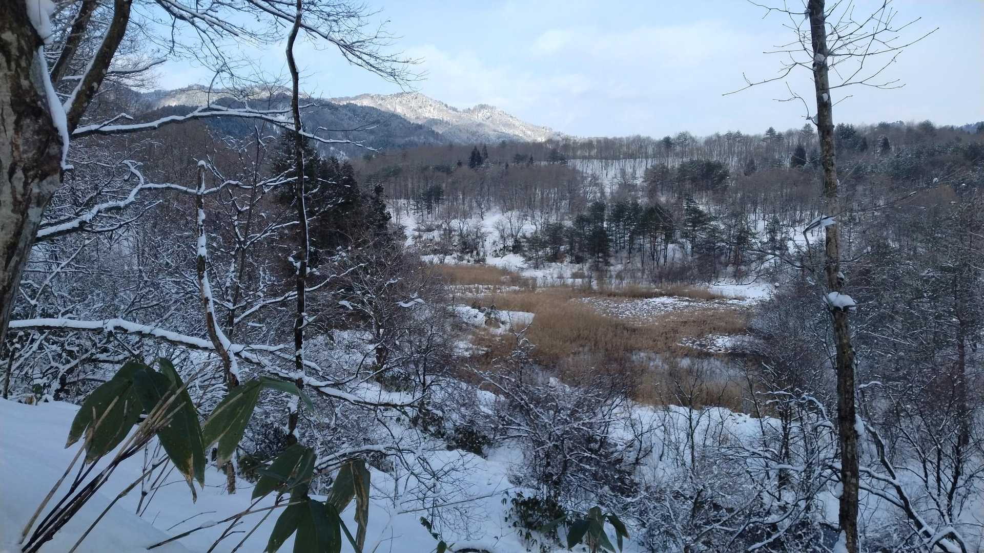 里山大好き