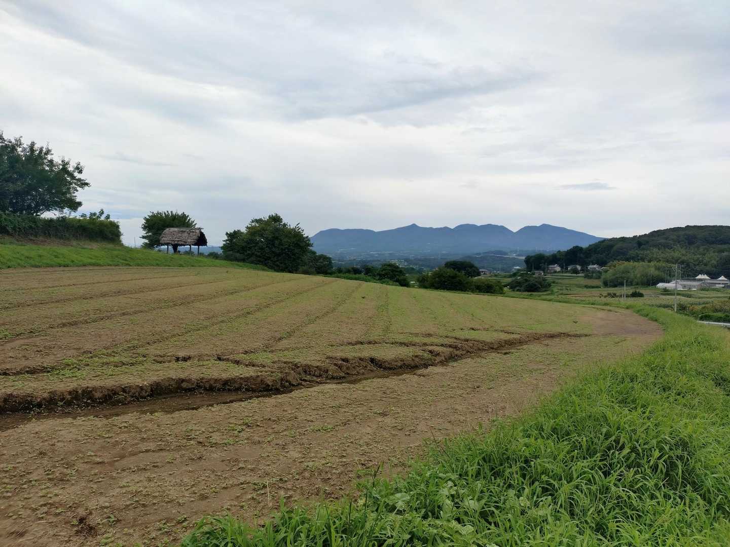 鹿田山で食後の散歩🐾