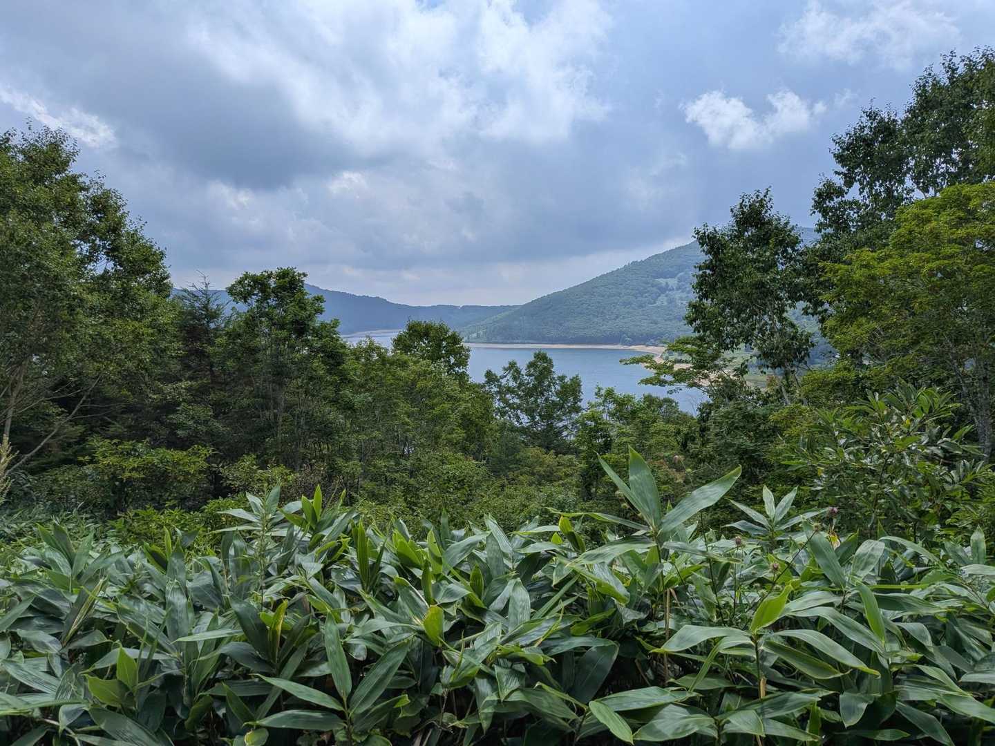 下山中、野反湖が少しだけ見えました✨
ちびっ子だからこれが精一杯😅