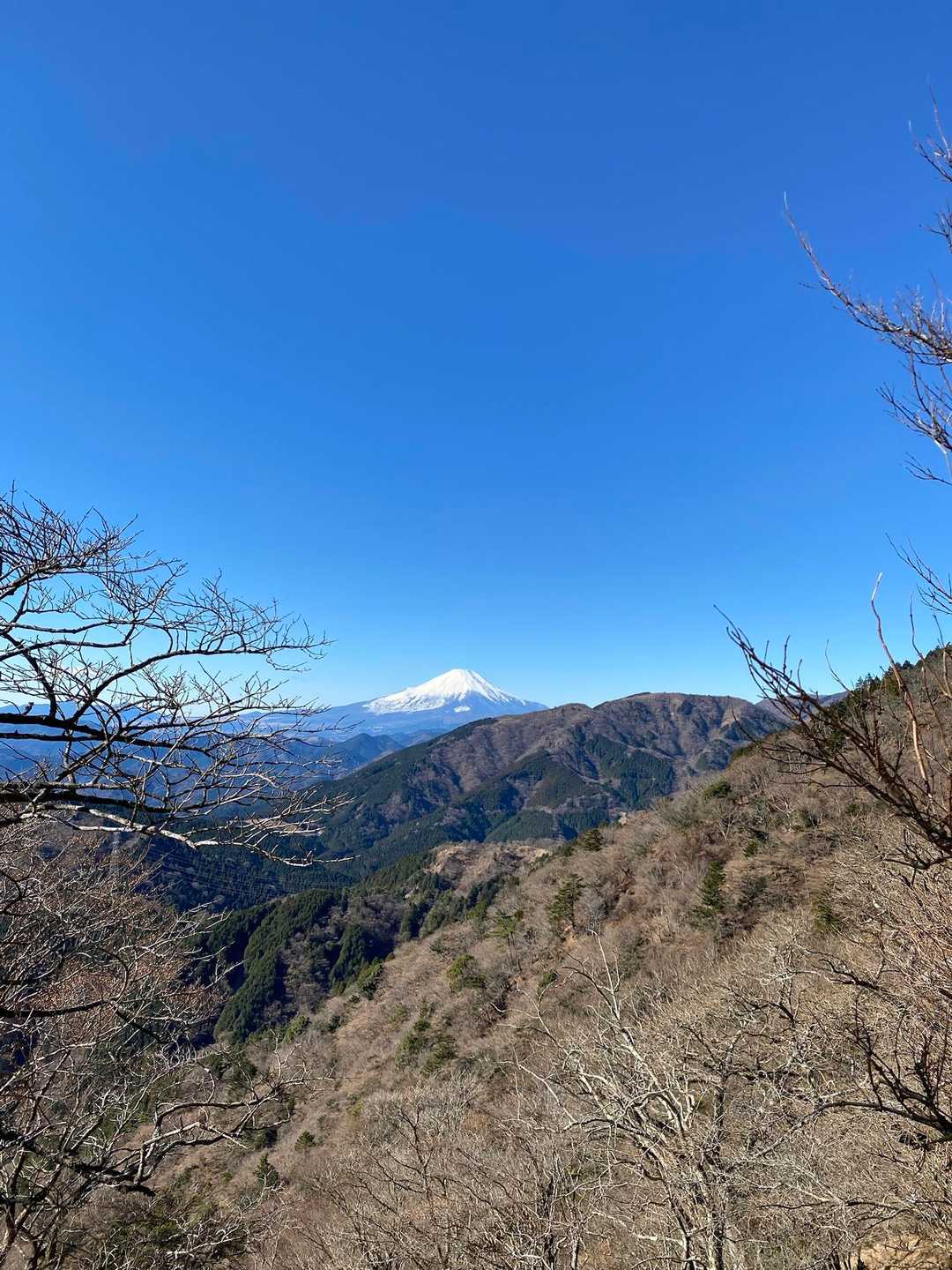大山ケーブルカー 阿夫利神社駅-頂上登山口-大山 往復コースの写真