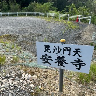 安養寺まで下りてきました