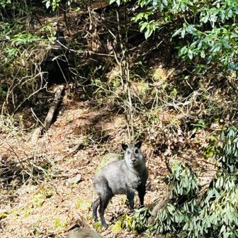 えっ！！　めっちゃ目が合うわ👀