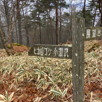 小淵沢駅を目指します。