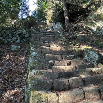 男坂の階段、これが断続的に続く
