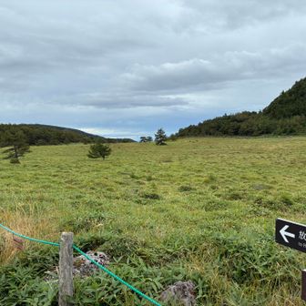 あちら放開口、やっぱり向こうを回れば良かった