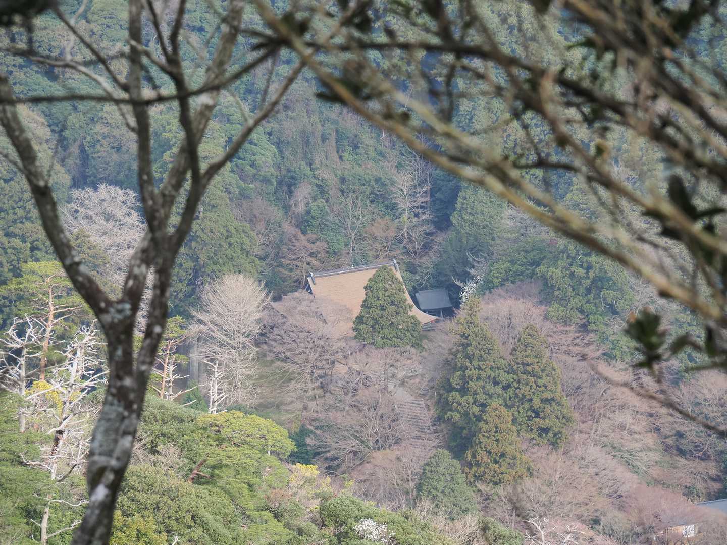 旅伏峰-伊努谷峠-鼻高山-矢尾峠-大黒山-遥堪峠-万ヶ丸山 縦走コースの写真