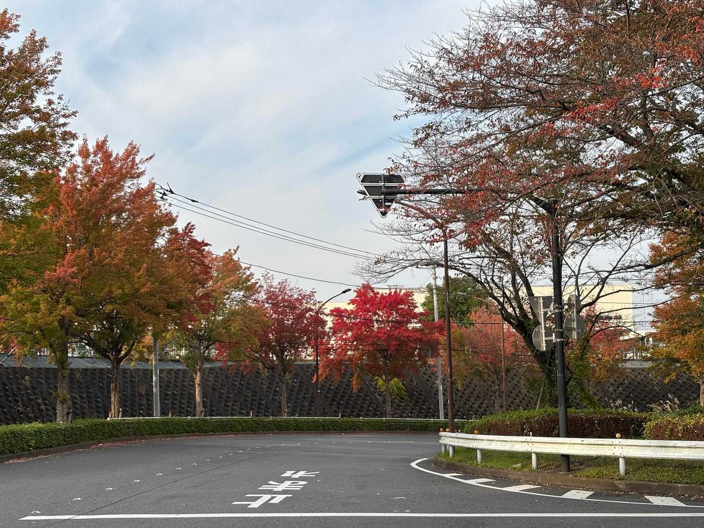今日一番赤かったのはこれでした