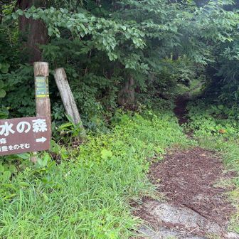 スキー場まで来て、ここから登り開始💦