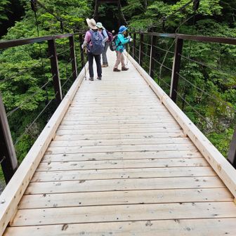 新しくなった橋　鳩ノ巣小橋　5人までの制限あり