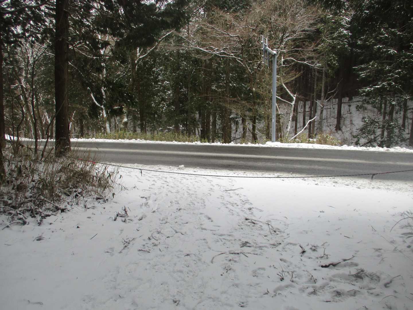 登山口