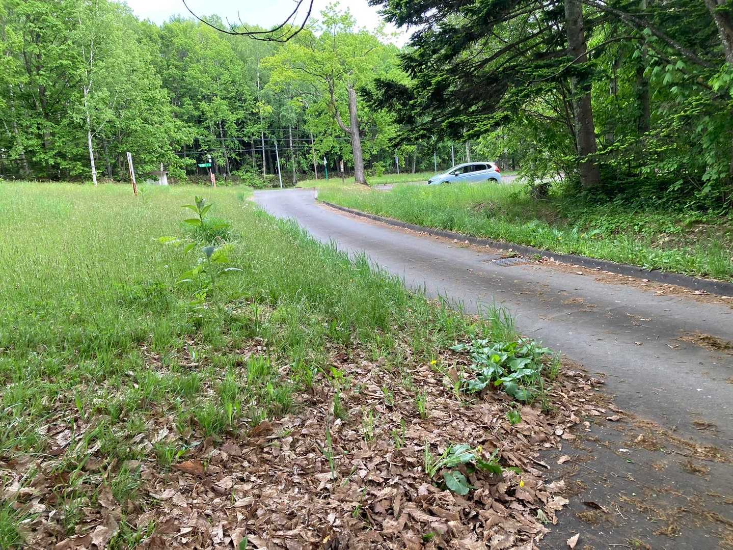 駐車場に到着。さあ、また次へ！