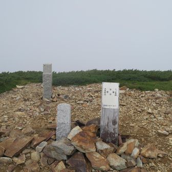 間山2585m到着するがガスで眺望なし。薬師岳まであと341m登る。三等三角点柱石は奥の物のようです