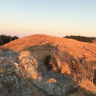 ハイジ「おじいさん、山が燃えているわ😍」
