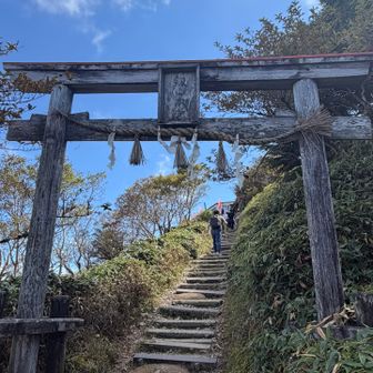 山頂まではほぼ階段でした💦