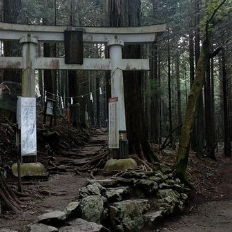 第一の鳥居⛩️
奥社への参道って感じがします