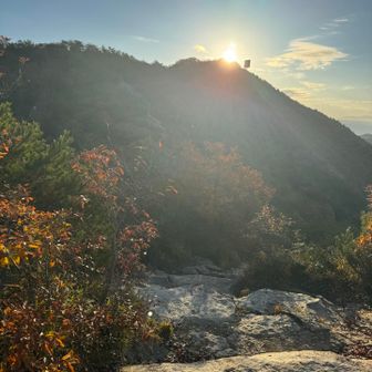 あそこから下りてきました！