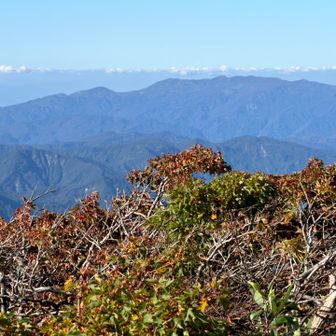 こちらは風か強く当たるのかな？落葉して来てしまった

焼石岳が綺麗綺麗に見えてますよ