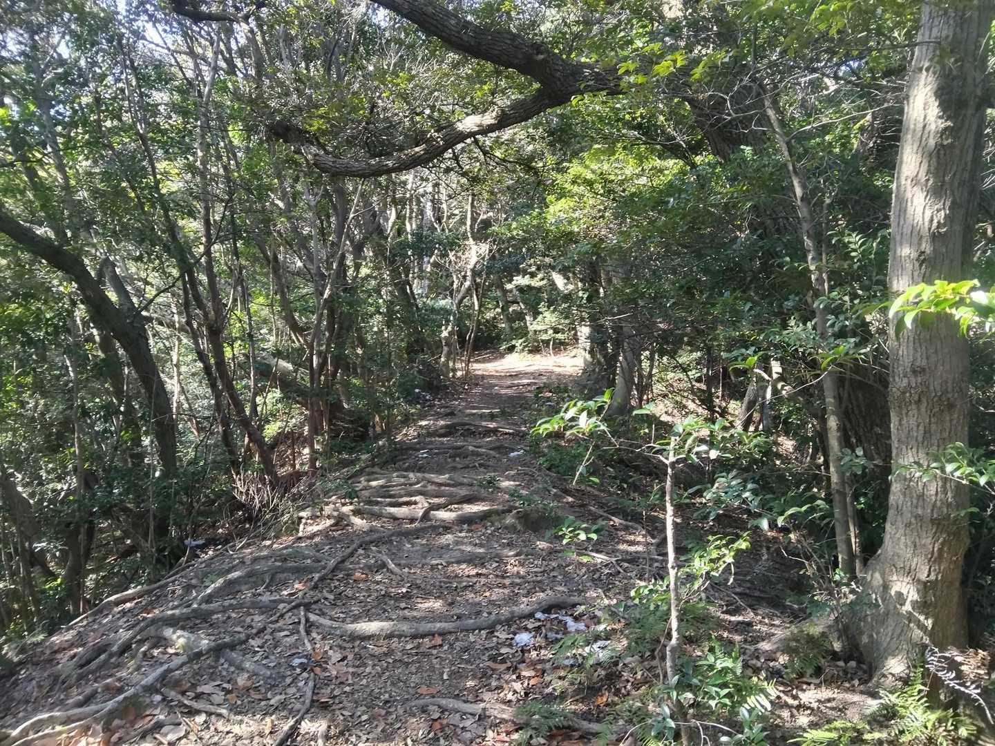 土器山 往復コースの写真