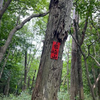 岩崎山ピーク