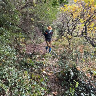 薮になった途端タロのペース落ちる笑