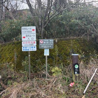 ここからようやく　ここまでで既に結構登ってる