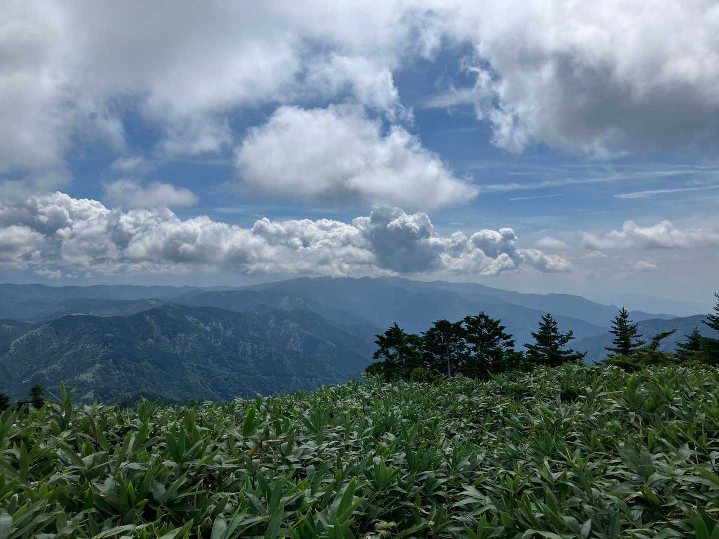 阿寺山地の東、奥三界岳方面になります😊