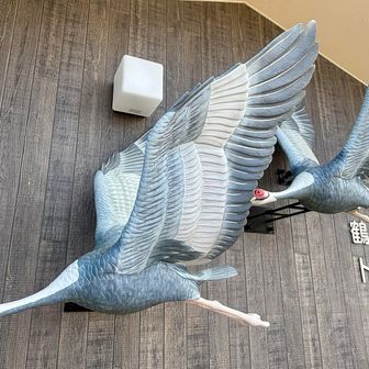 行人岳トイレに鶴