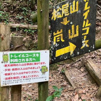 フォントが魅力的