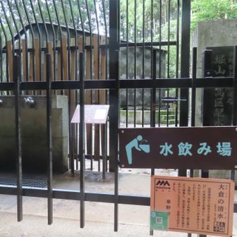秦野ビジターセンターも拍子抜けするぐらい人が少ない、、
大倉の清水で水分補給🚰
秦野市は市内の水道水の多くを秦野盆地湧水群（環境省の「名水百選」に選定）の地下水でまかなっている🏞️