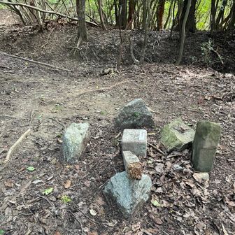 写真奥に道↔️、素通りするとこでした