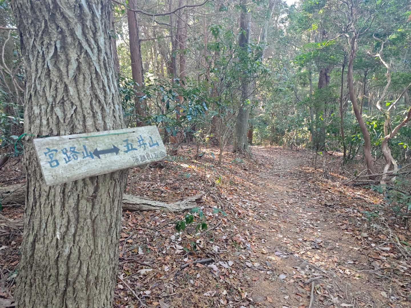 宮路山-赤坂山-五井山 往復コースの写真