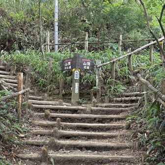 今日は楽な道を選択