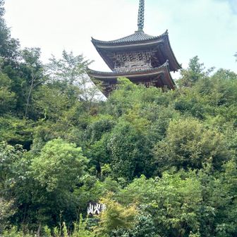 素敵です