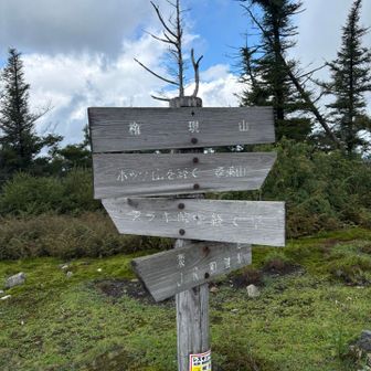 権現山に到着
次の山はホッケ山