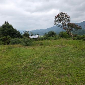 城山山頂付近の景色😃